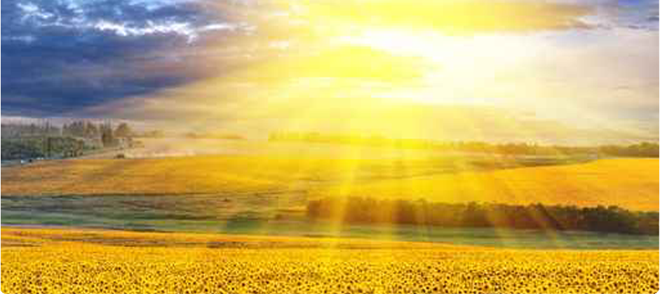 Vitamin D3 Tropfen & Vitamin D Kapseln hier kaufen. Vitamin D besitzt die herausragende Fähigkeit besitzt, direkt das Immunsystem zu steuern und ein entzündungshemmendes Gen zu aktivieren.