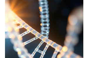 Vitamin D3 wirkt dem biologischen Altersprozess entgegen