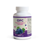 OPC Traubenkernextrakt 140 mg | 120 Kapseln | vegane Oligomere Proanthocyanidine