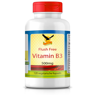 Vitamin B3 Niacinamid 500mg, 120 Kapseln