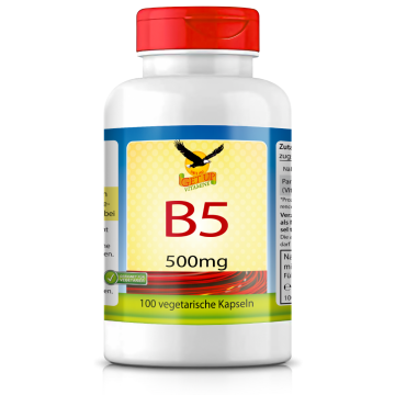 Vitamin B5 Pantothensäure 500mg | 100 Kapseln