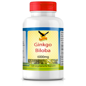 Ginkgo Biloba, 120 Kaps
