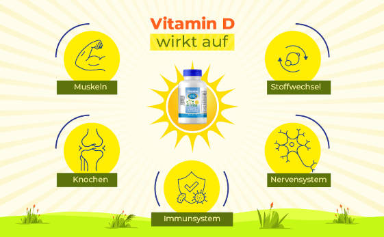 Vitamin D3 und K2 Wirkung